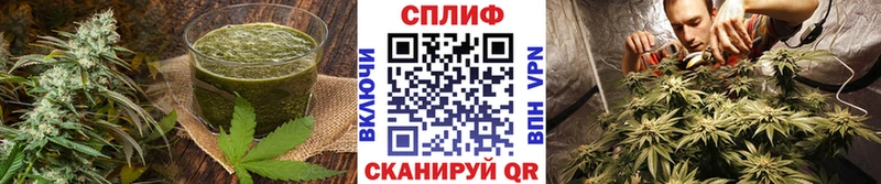 Купить где  Абаза  Canna-Cookies марихуана 