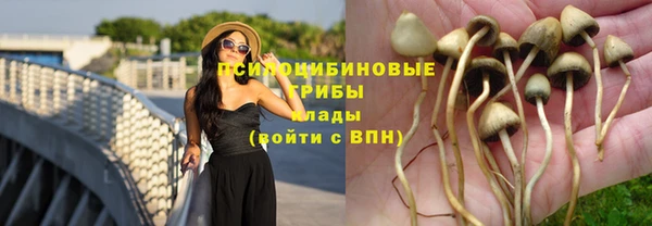 скорость mdpv Нефтекумск