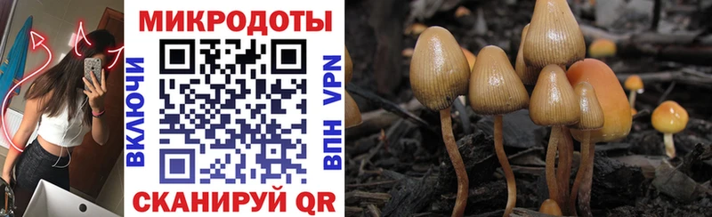 Купить где  Абаза  Галлюциногенные грибы ЛСД 